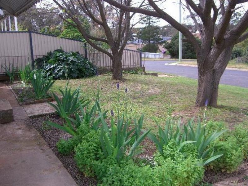 3 Emily Street, Young NSW 2594