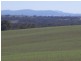 00 Bowlers Lane Monteagle, Young NSW 2594