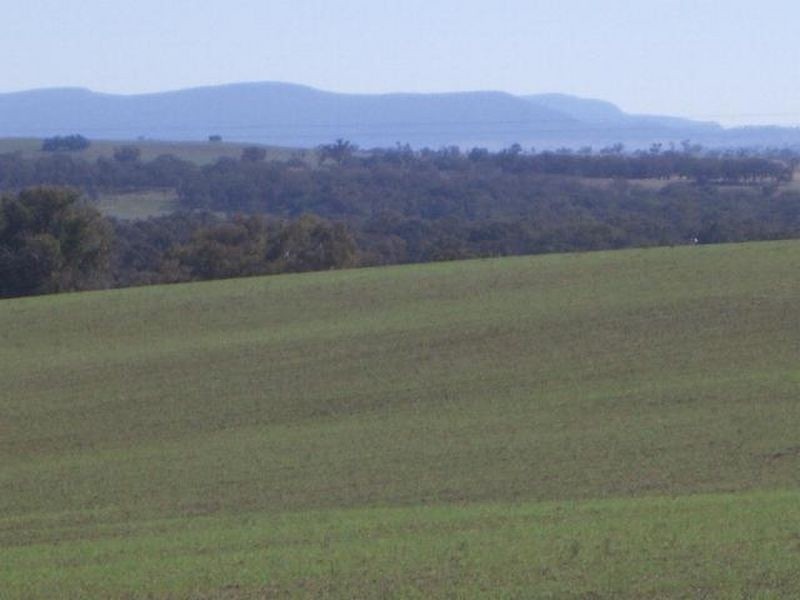 00 Bowlers Lane Monteagle, Young NSW 2594