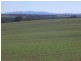 00 Bowlers Lane Monteagle, Young NSW 2594