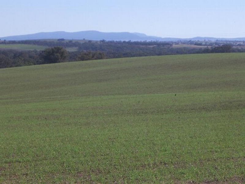 00 Bowlers Lane Monteagle, Young NSW 2594