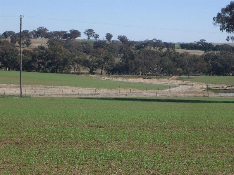 00 Bowlers Lane Monteagle, Young NSW 2594