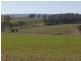 00 Bowlers Lane Monteagle, Young NSW 2594