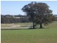 00 Bowlers Lane Monteagle, Young NSW 2594