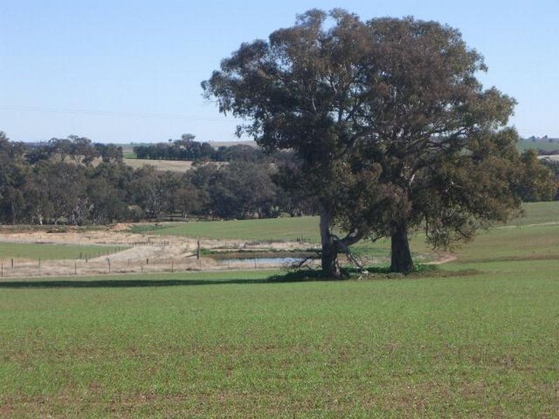 00 Bowlers Lane Monteagle, Young NSW 2594