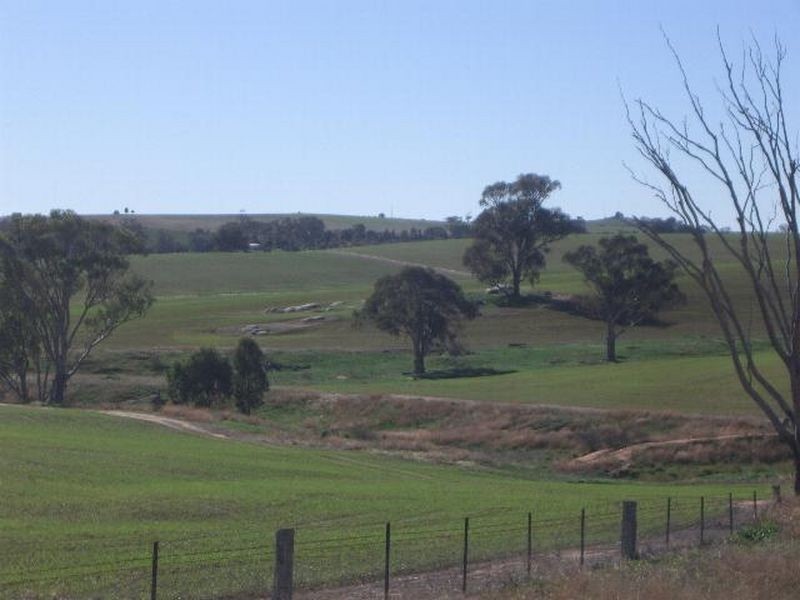 00 Bowlers Lane Monteagle, Young NSW 2594