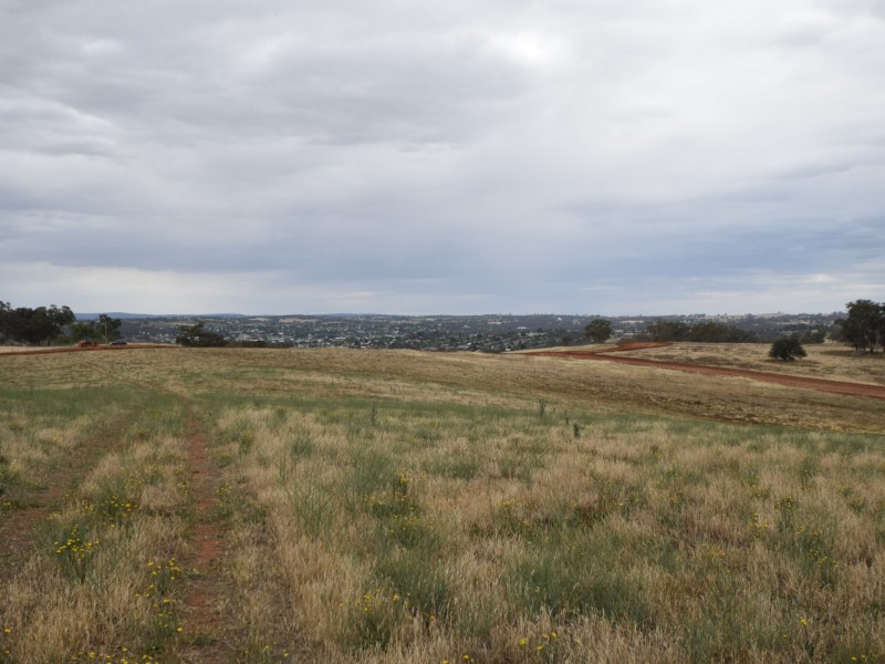 289 Wickham Lane, Young NSW 2594