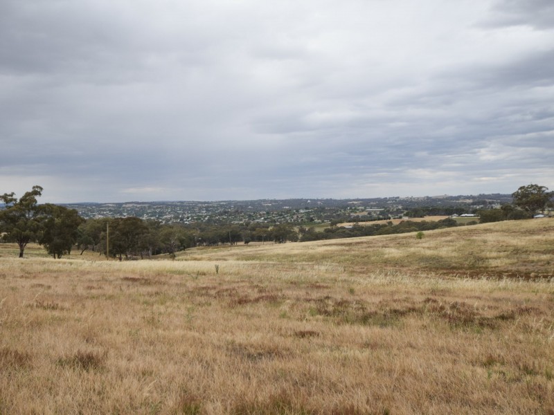 289 Wickham Lane, Young NSW 2594