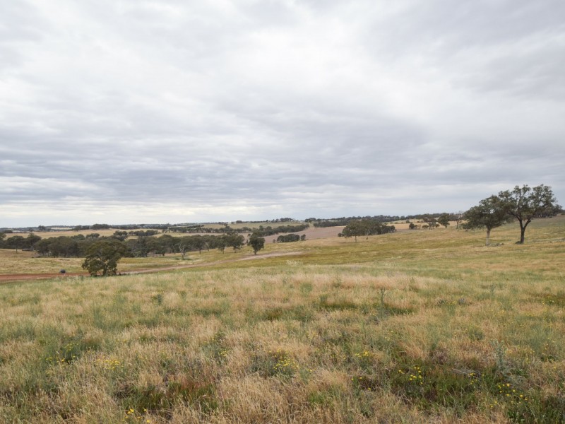 289 Wickham Lane, Young NSW 2594