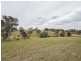 289 Wickham Lane, Young NSW 2594