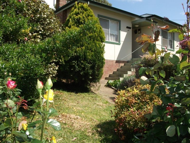 61 Murringo Street, Young NSW 2594