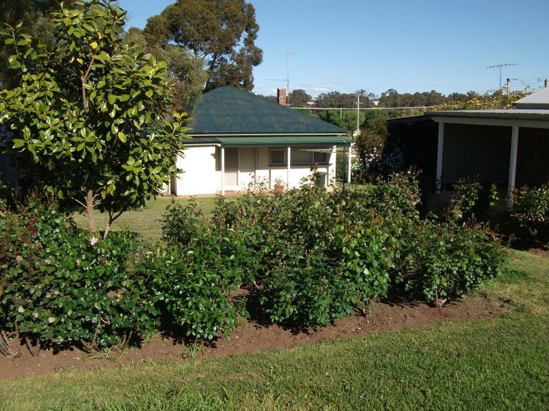 61 Murringo Street, Young NSW 2594