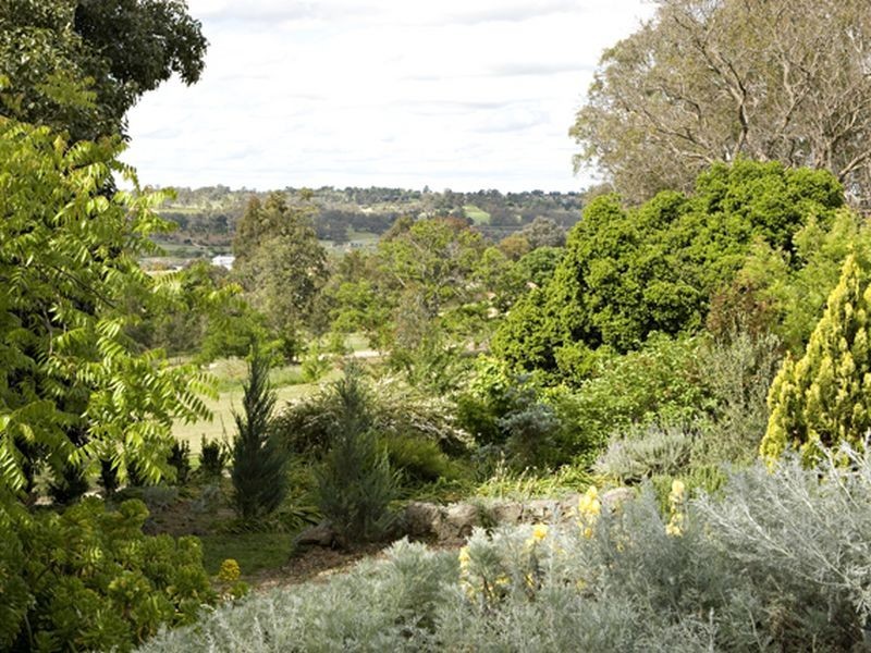 127 Wickham Lane, Young NSW 2594