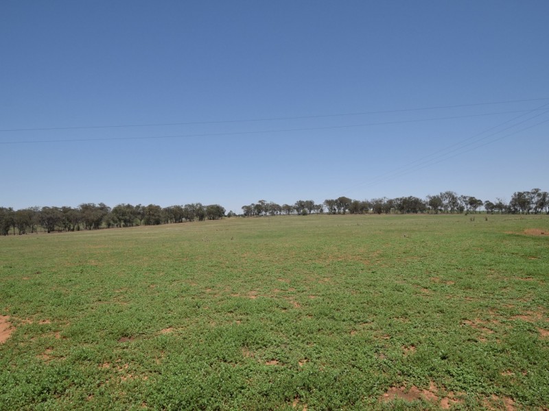 20 Mahers Lane, Young NSW 2594