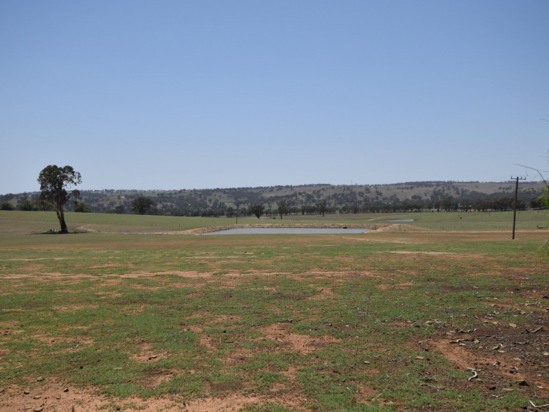 20 Mahers Lane, Young NSW 2594