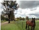 4192 Murringo Road, Young NSW 2594