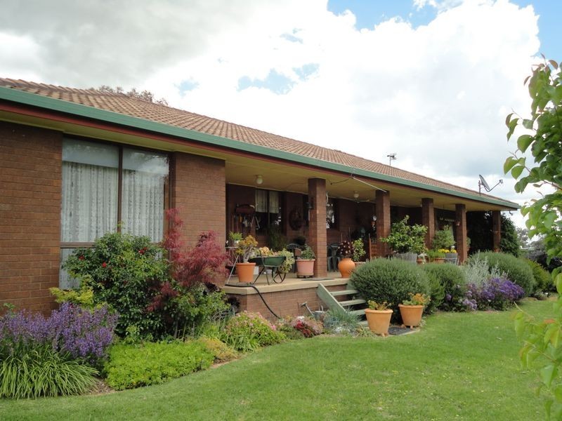 4192 Murringo Road, Young NSW 2594