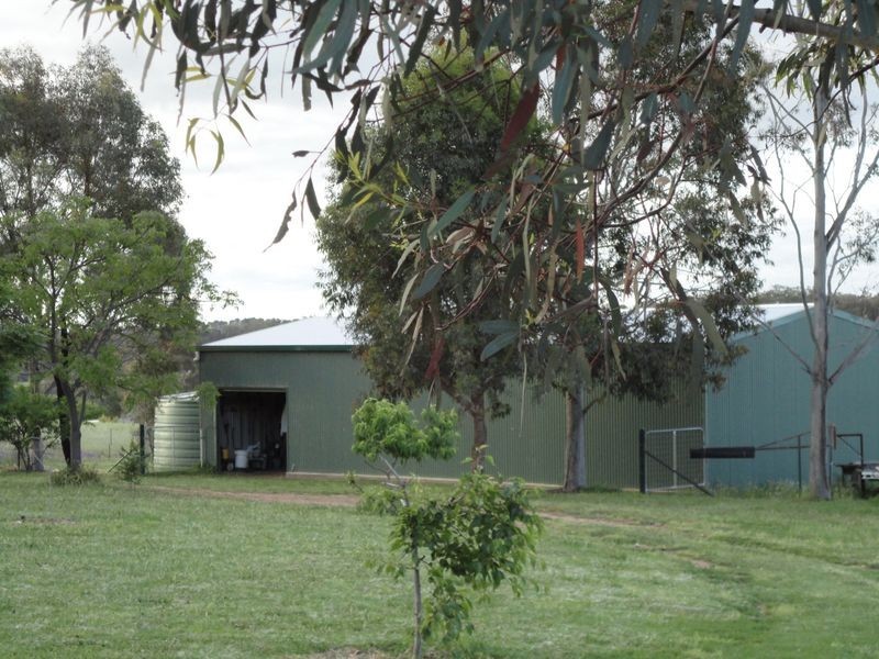 4192 Murringo Road, Young NSW 2594