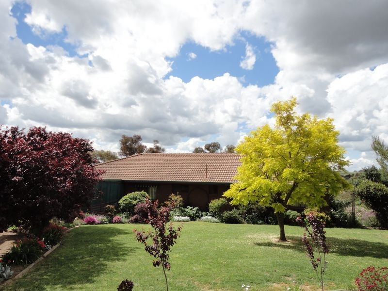 4192 Murringo Road, Young NSW 2594