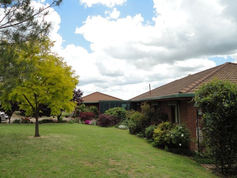 4192 Murringo Road, Young NSW 2594