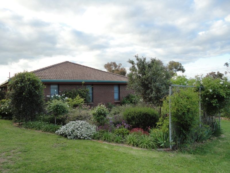 4192 Murringo Road, Young NSW 2594