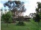 4192 Murringo Road, Young NSW 2594