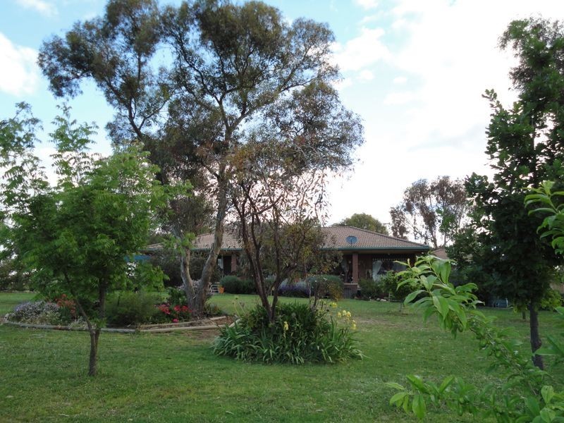 4192 Murringo Road, Young NSW 2594