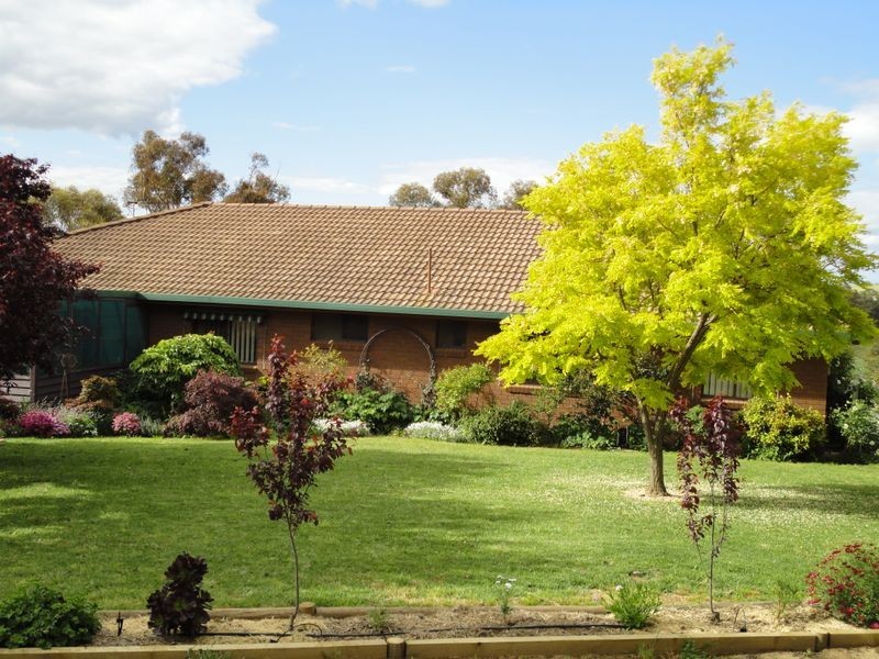 4192 Murringo Road, Young NSW 2594