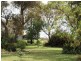 4192 Murringo Road, Young NSW 2594