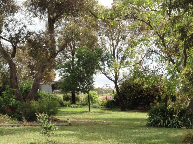 4192 Murringo Road, Young NSW 2594