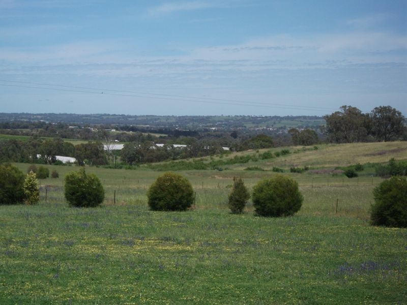 78 Apps Lane, Young NSW 2594