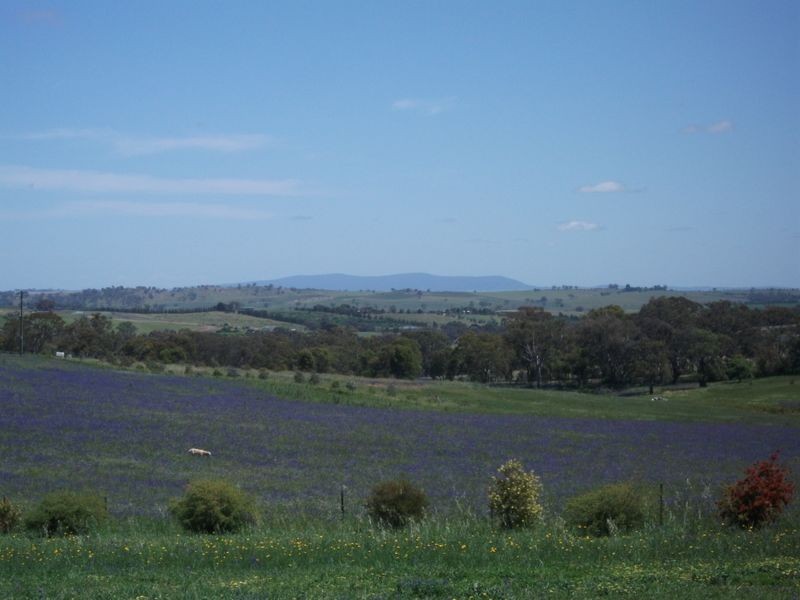 78 Apps Lane, Young NSW 2594