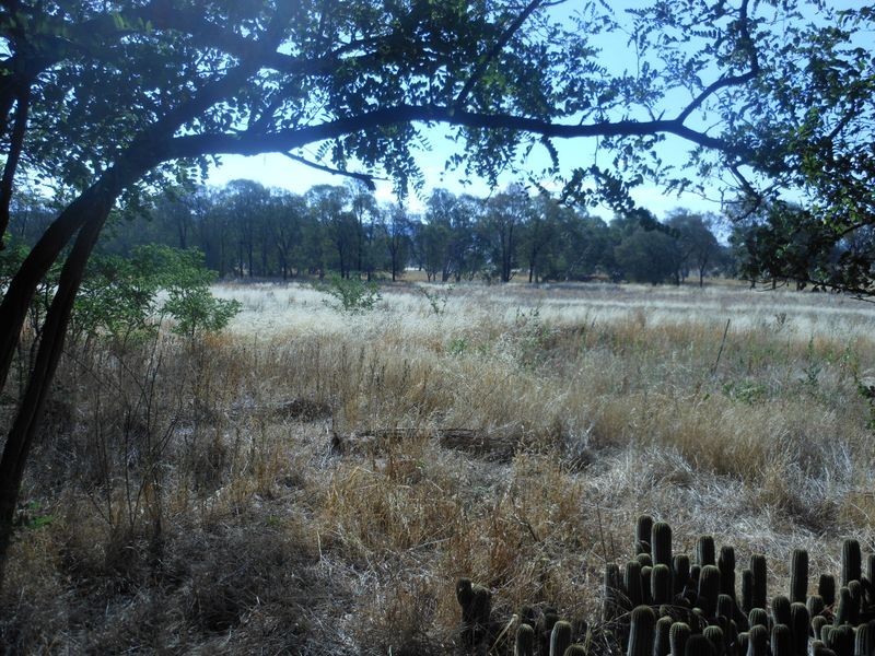 801 Murringo Gap Road, Murringo NSW 2586