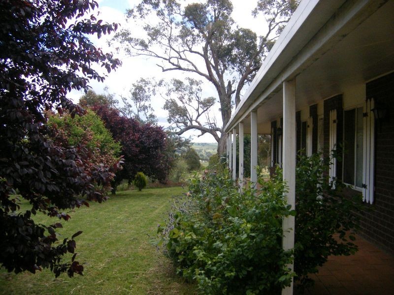 490 Temora Rd, Young NSW 2594