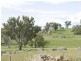 39 Burrows, Young NSW 2594