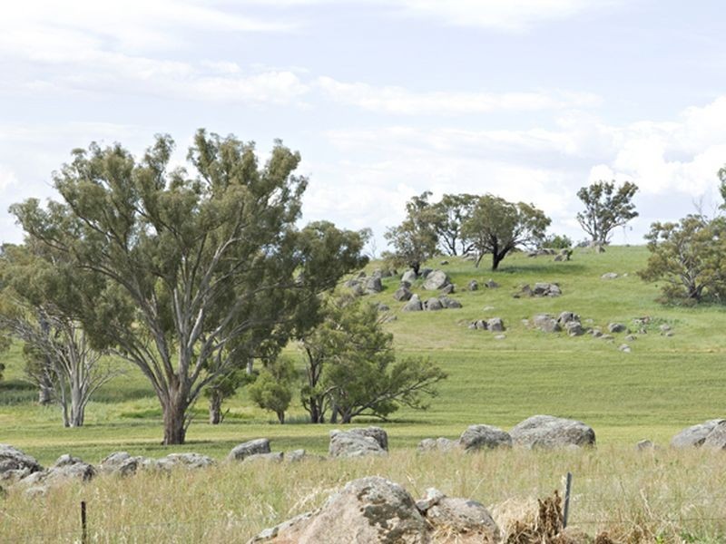 39 Burrows, Young NSW 2594