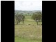 39 Burrows, Young NSW 2594