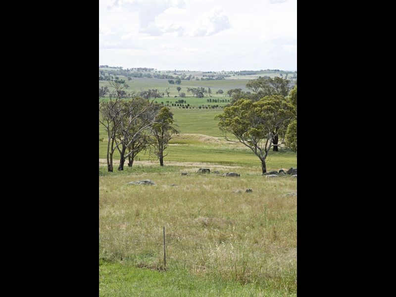 39 Burrows, Young NSW 2594