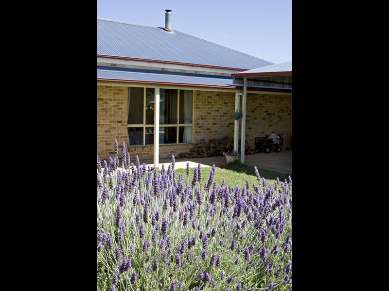 39 Burrows, Young NSW 2594