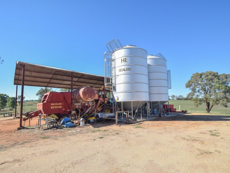 251 Rhodes Road, Young NSW 2594