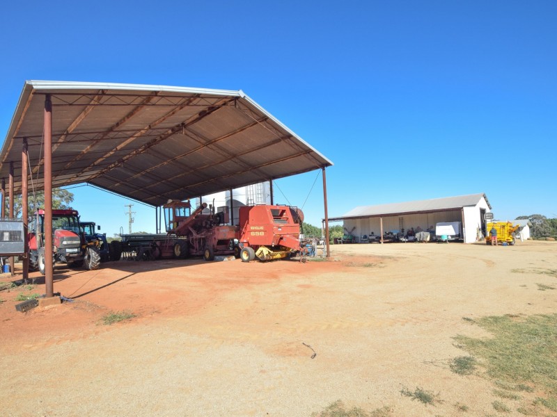 251 Rhodes Road, Young NSW 2594