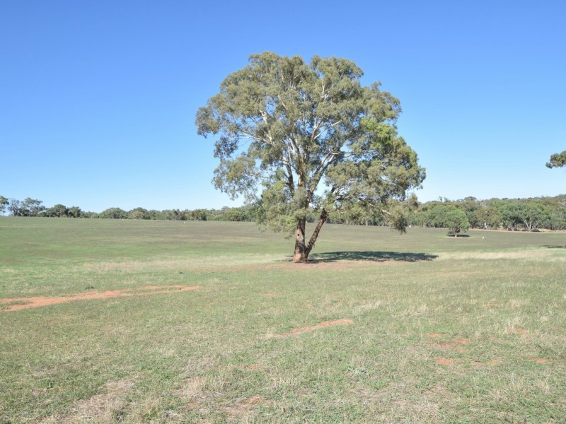 251 Rhodes Road, Young NSW 2594