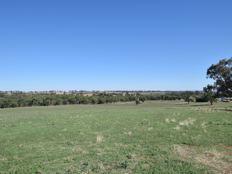 251 Rhodes Road, Young NSW 2594