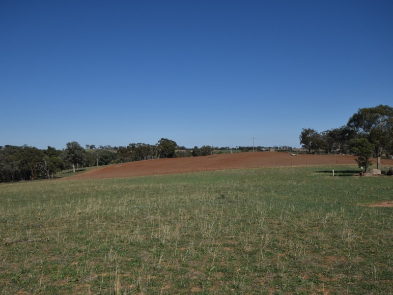 251 Rhodes Road, Young NSW 2594