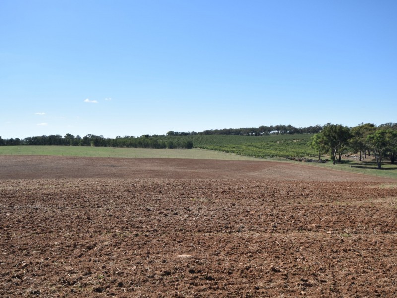 251 Rhodes Road, Young NSW 2594