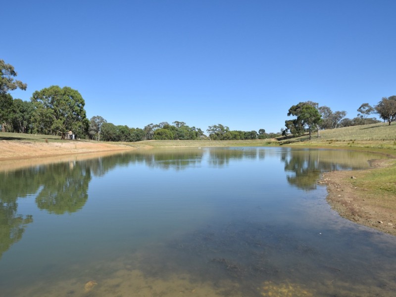 251 Rhodes Road, Young NSW 2594