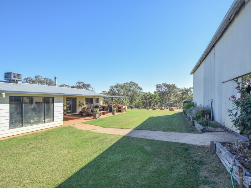 251 Rhodes Road, Young NSW 2594