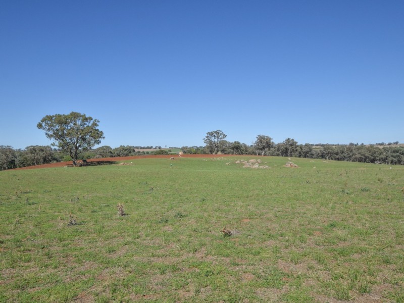 251 Rhodes Road, Young NSW 2594