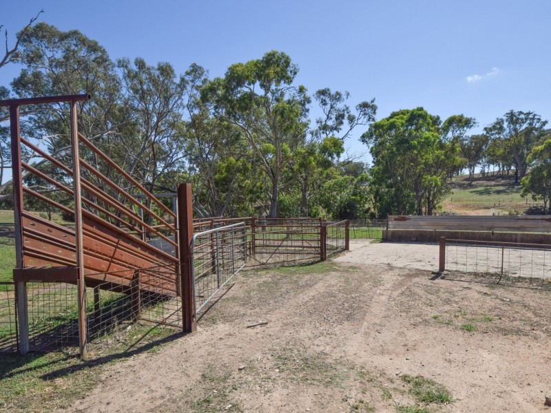 251 Rhodes Road, Young NSW 2594