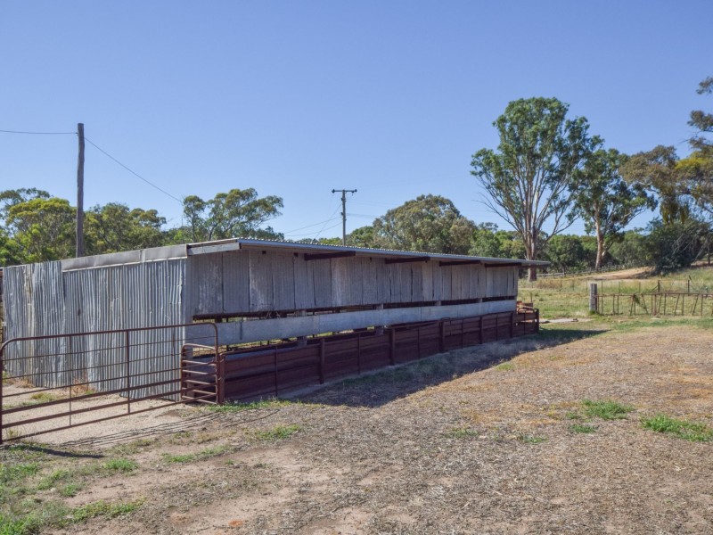 251 Rhodes Road, Young NSW 2594